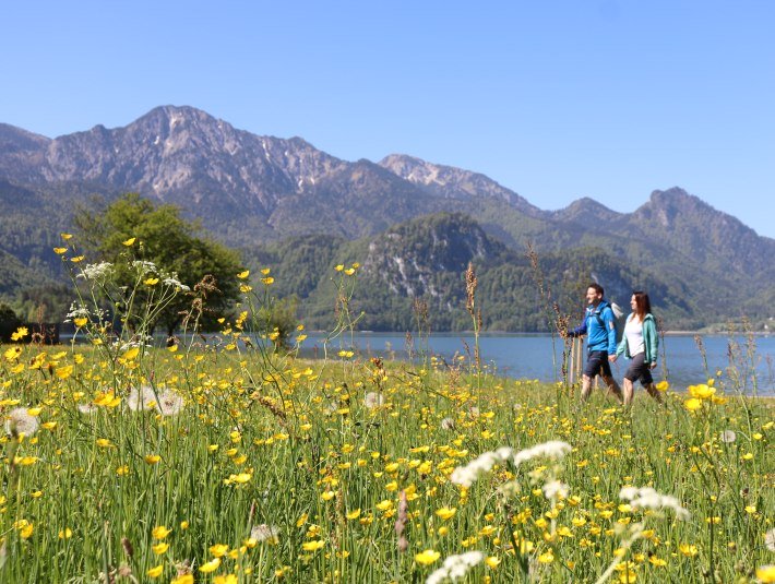 Tageskurbeitrag, © Tourist Information Kochel a. See - Daniel Weickel