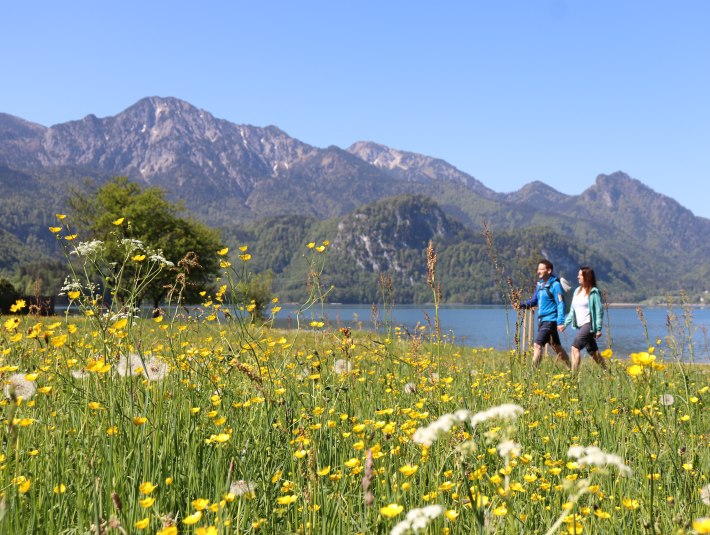 Tageskurbeitrag, &copy; Tourist Information Kochel a. See - Daniel Weickel