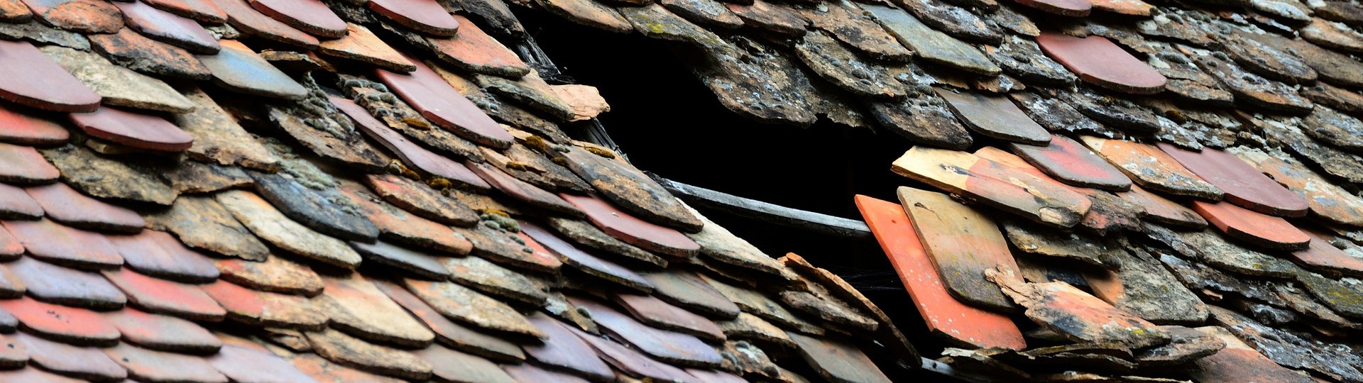 Dachziegel, &copy; Pixabay; Congerdesign