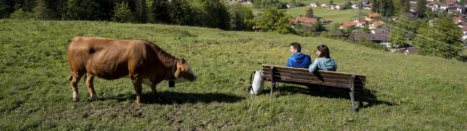 Zwei Personen sitzen auf einer BAnk und schauen von der Kohlleite über den Ort Kochel am See., © Tourist Information Kochel a. See,  Fotograf Bernd Ritschel